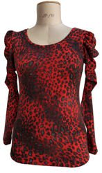 Animal Print Long Sleeve  Top